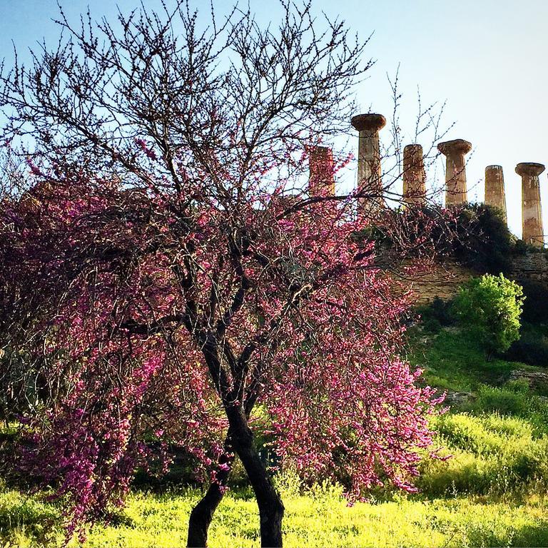 Villa Cetta B&B San Leone Dış mekan fotoğraf