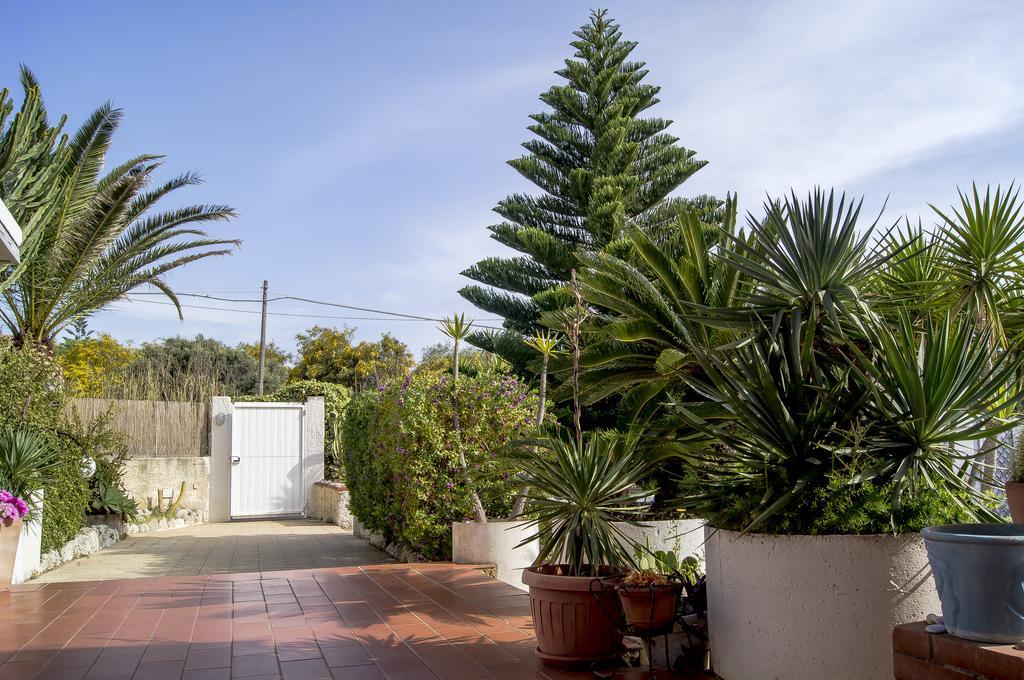 Villa Cetta B&B San Leone Dış mekan fotoğraf