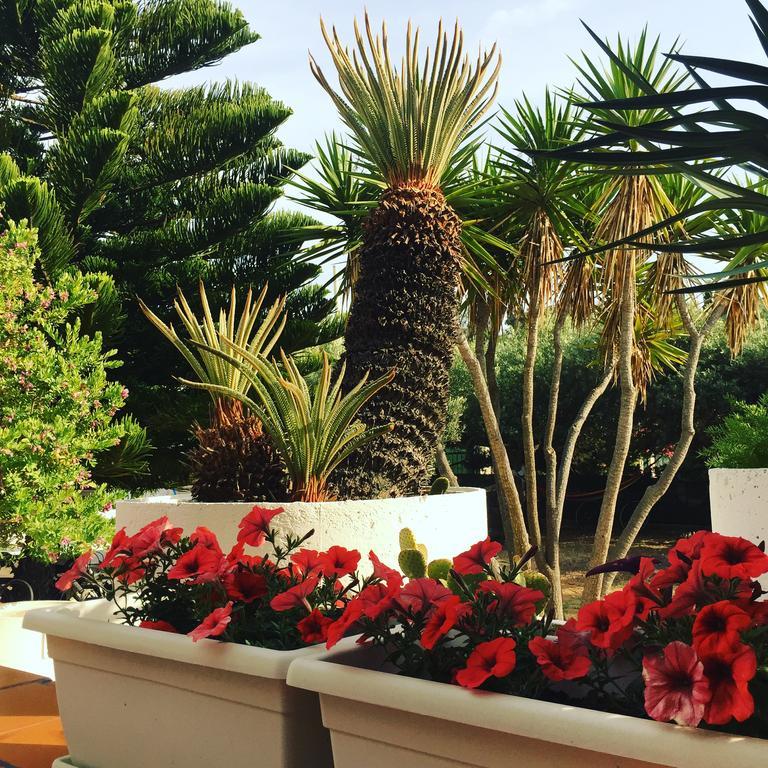 Villa Cetta B&B San Leone Dış mekan fotoğraf